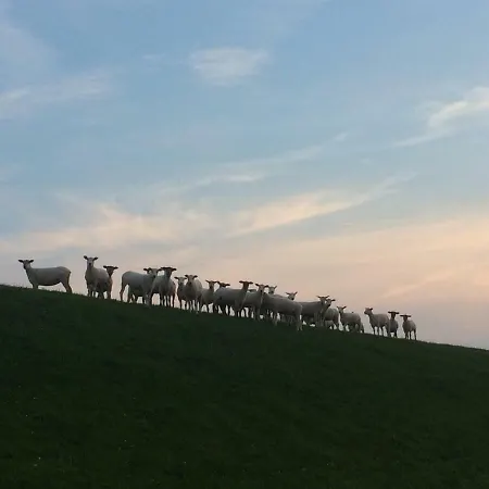 Nordsee-peerhuus * Фридрихског