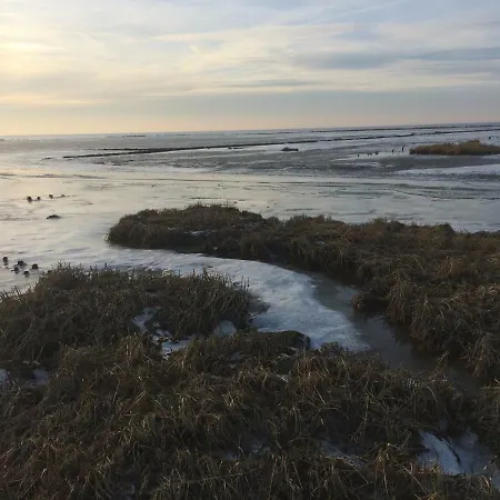 公寓 Nordsee-peerhuus 腓特烈斯科格