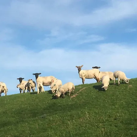 公寓 Nordsee-peerhuus