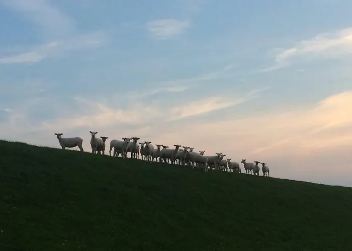 Nordsee-peerhuus * Friedrichskoog