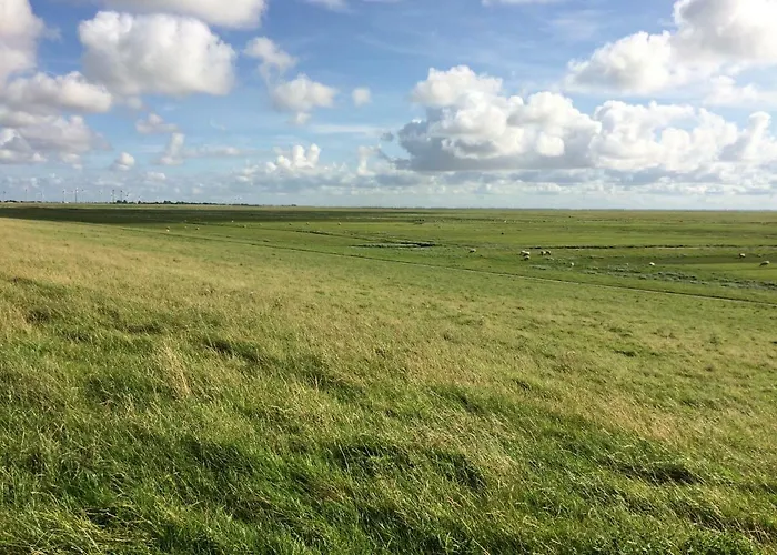 Appartement Nordsee-peerhuus
