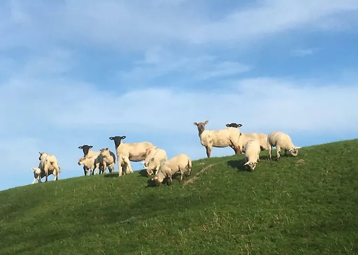 Apartment Nordsee-peerhuus